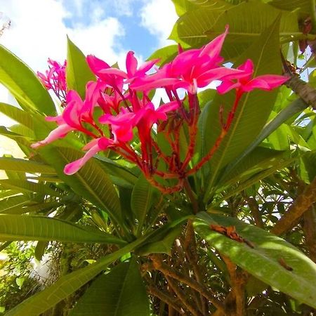 Beautiful 3 Bedroom Townhouse In Urb. Tropicana, Nerja Buitenkant foto