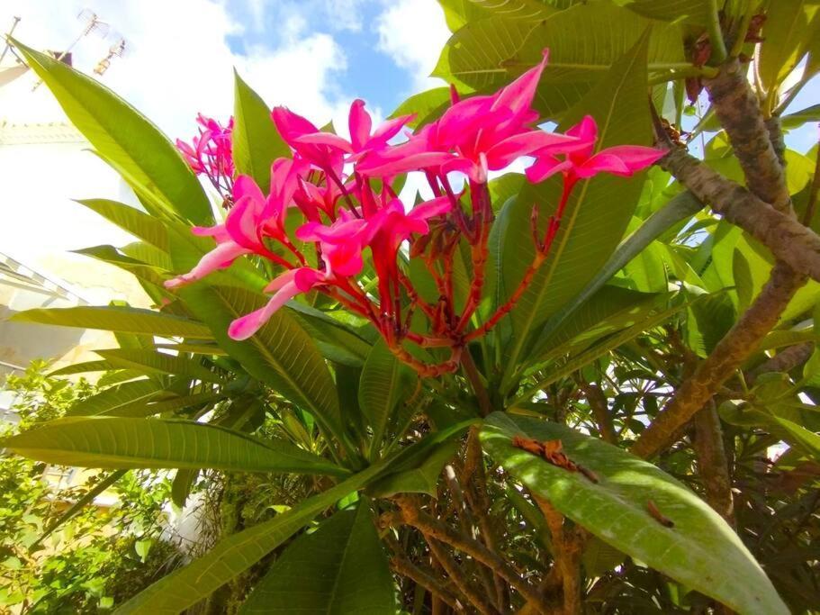 Beautiful 3 Bedroom Townhouse In Urb. Tropicana, Nerja Buitenkant foto